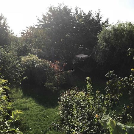 Fewo In Sonniger Lage In Sagard Exterior photo